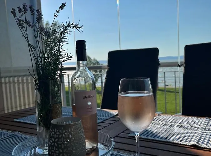 Summer Vibe